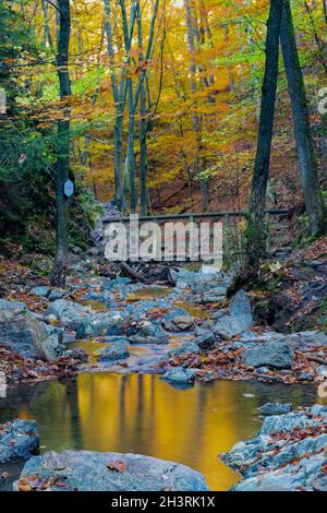 Herbstsonnenaufgang im Tal des Ninglinspo, das als herausragendes Kulturerbe der Wallonie gilt. Der Strom bildet Stromschnellen um verschiedene Pools Stockfoto