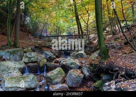 Herbstsonnenaufgang im Tal des Ninglinspo, das als herausragendes Kulturerbe der Wallonie gilt. Der Strom bildet Stromschnellen um verschiedene Pools Stockfoto