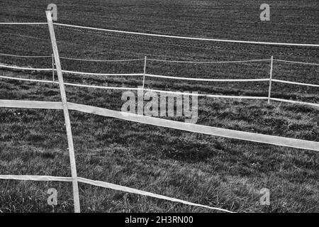 Elektrische Zäune; Wesertal; Gewissenruh; Weserbergland; Weserbergland; Hessen, Deutschland Stockfoto