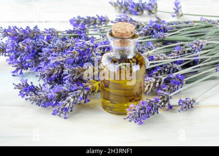 Ätherisches Lavendelöl mit frischen Lavendelblüten Stockfoto