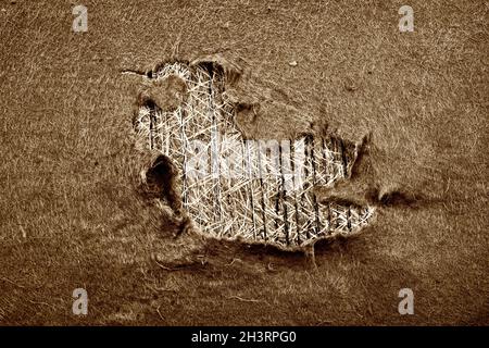 Heuballen mit zerrissener Plane bedeckt, Wesertal, Gewissenruh, Weser-Hochland, Weserbergland, Hessen, Deutschland Stockfoto