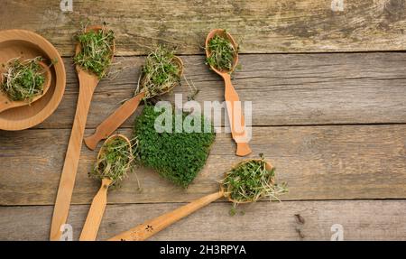 Grüne Sprossen aus Chia, Rucola und Senf in einem Holzlöffel auf grauem Hintergrund aus alten grauen Brettern Stockfoto