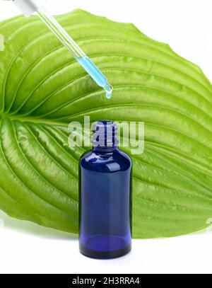 Blaue transparente Glasflasche mit Pipette auf dem Hintergrund eines grünen Blattes. Konzept der Naturkosmetik Stockfoto
