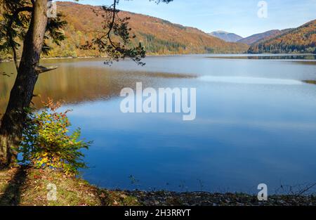 Waldwiese am Ufer des malerischen Sees. Vilshany Wasserreservoir am Tereblya Fluss, Transkarpatien, Ukraine. Wunderschön A Stockfoto