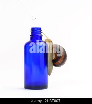 Braune Schnecke sitzt auf einer blauen, transparenten Glasflasche mit einer Pipette, Produkt auf einem weißen Backgroun Stockfoto