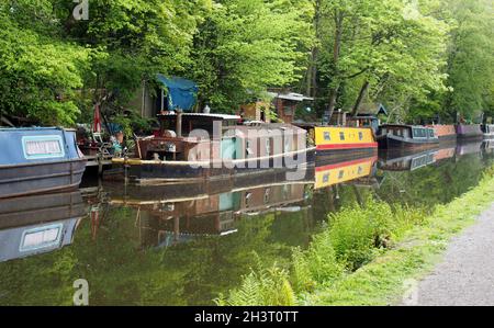 Kanalboote vertäuten gegenüber dem Pfad auf dem rochdale-Kanal in der Nähe der hebden-Brücke, die im Sommer von Bäumen umgeben ist Stockfoto