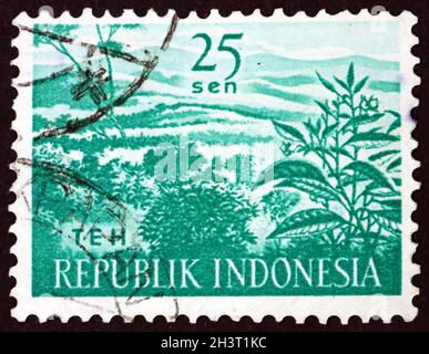 INDONESIEN - UM 1960: Eine in Indonesien gedruckte Marke zeigt Teeplantage, Landwirtschaft, um 1960 Stockfoto