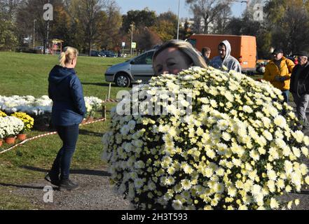 Lubin, Dolny Slask, Polen. Oktober 2021. In Polen laufen die Vorbereitungen für Allerheiligen. Pole kaufen Blumen und Kerzen, um die Gräber von Verwandten zu besuchen, die am 1. November mit ihren Familien gestorben sind. Im Jahr 2020 wurden die Friedhofs aufgrund der Coronavirus-Epidemie durch den Beschluss des Gesundheitsministers vom 1. November geschlossen. Der Gesundheitsminister in Polen fordert eine Schutzmaske, die auf dem Friedhof liegt und soziale Distanz hält. Heute sind es fast 10,000 neue Daten, die das polnische Gesundheitsministerium zur Verfügung stellt. Dies ist die vierte Welle des Coronavirus in Polen (Bild: C Stockfoto