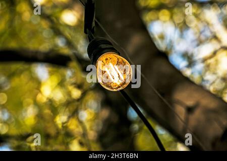 Hintergrundbild der Außenbeleuchtung Girlanden , konzentrieren sich auf klassische Glühbirne mit Verkabelung. Speicherplatz kopieren. Stockfoto