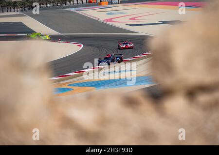 22 Hanson Philip (gbr), Scherer Fabio (che), Albuquerque Filipe (por), United Autosports USA, Oreca 07 - Gibson, Aktion während der 6 Stunden von Bahrain, 5. Runde der FIA-Langstrecken-Weltmeisterschaft 2021, FIA WEC, auf dem Bahrain International Circuit, vom 28. Bis 30. Oktober 2021 in Sakhir, Bahrain - Foto: Joao Filipe/DPPI/LiveMedia Stockfoto