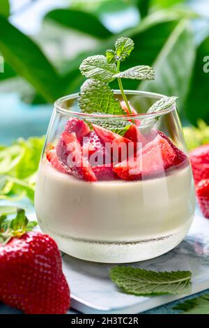 Panna Cotta mit Kokosrahm, Matcha-Tee und reifen Erdbeeren. Stockfoto