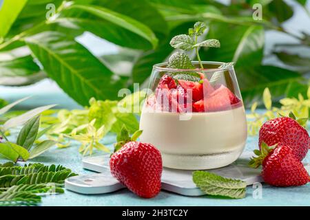 Matcha Grüner Tee Panna Cotta Stockfoto