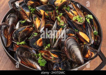 Marinara-Muscheln, Moules Mariniere, in einem Flitzer, Nahaufnahme Stockfoto