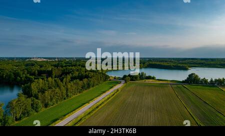 Bepflanzte Feldfrucht unter einem dramatischen Sonnenuntergang Himmel. Maisfeld mit No-Till-Technologie im Frühsommer an einem sonnigen Tag gesät. T Stockfoto