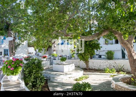 Griechenland, Insel Folegandros. Chora Stadtplatz. Bäume und Blumentöpfe grüne Dekoration. Traditionelle Café-Bar im Freien und Tavernentische und -Stühle, Cycl Stockfoto