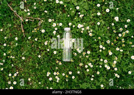 Eine Flasche Wasser mit einer Zitrone liegt in Gänseblümchen auf dem grünen Gras Stockfoto
