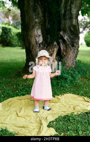 Kleines Mädchen in einem Hut steht auf einer Decke auf einer grünen Wiese in der Nähe eines großen Baumes Stockfoto