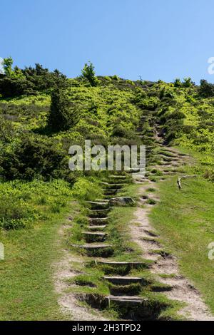 Wanderweg, der mit Holztreppen auf den Gipfel eines Hügels in der Heide führt Stockfoto