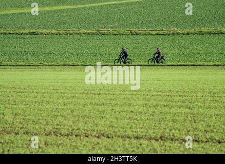 Radweg R1, bei Wesertal, Weser-Hochland, Weserbergland, Hessen, Deutschland Stockfoto