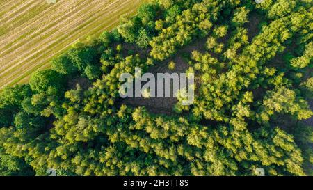 Luftbild geometrische Felder, zeigt eine grüne Wiese und gepflügte Felder, mit einer Drohne gefangen Stockfoto