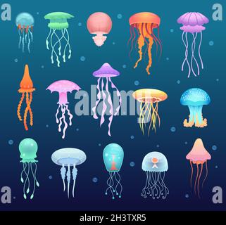 Unterwasser-Quallen. Schöne magische Wasser Gelee schwimmen Tiere Vektor-Sammlung Stock Vektor