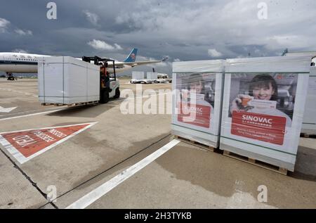 (211030) -- PEKING, 30. Oktober 2021 (Xinhua) -- Foto vom 24. September 2021 zeigt Pakete mit Sinovac COVID-19-Impfstoff auf dem Internationalen Flughafen von Phnom Penh in Phnom Penh, Kambodscha. (Foto von Fearum/Xinhua) Stockfoto