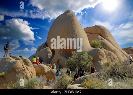 Skull Rock im Joshua Tree National Park in Kalifornien Stockfoto