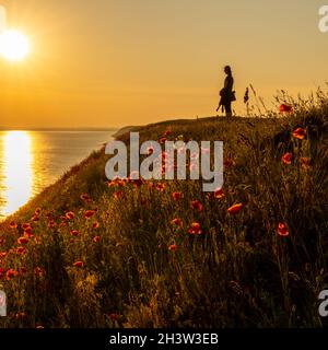 Silhouette einer Frau, die bei Sonnenuntergang auf einem grasbewachsenen Hügel neben dem Meer steht, mit einer bunten roten Mohnblumenwiese in der Stirn Stockfoto