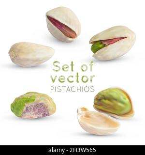 Vector Pistachio kernel. Realistic green nuts background. Pistachios nuts isolated on white. Stock Vektor