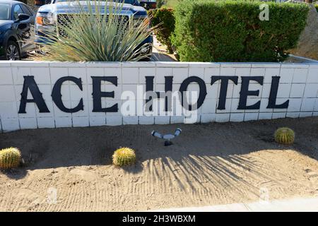 Das Ace Hotel and Swimming Club Schild in Palm Springs, CA Stockfoto