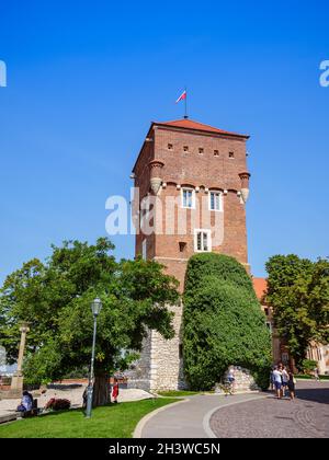 Krakau, Polen. 26. August 2019. Wawel Thief Tower in Wawel Royal Castle an einem sonnigen Sommertag. Stockfoto