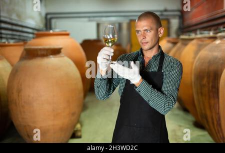 Weinproduzent überprüft die Qualität des Getränks in der Kellerei Stockfoto