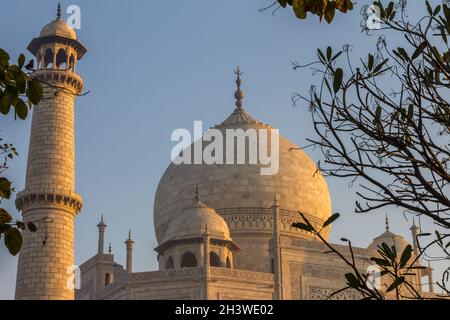 Taj Mahals Kuppel und ein Minarett, das vom goldenen Licht der aufgehenden Sonne beleuchtet wird Stockfoto