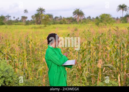 Afrikanische Bäuerin, die ihren Laptop auf dem Feld benutzt Stockfoto