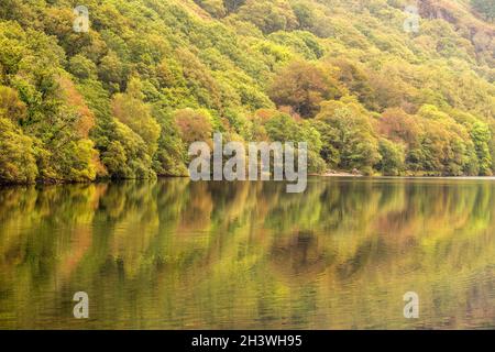 Reflexionen, die an einem frühen Herbsttag in Llyn Dinas, Gwynedd Snowdonia Wales, Großbritannien, festgehalten wurden Stockfoto