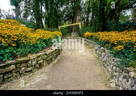 Gasse, umgeben von Steinmauern und voller gelber Blumen, die mitten durch den Wald führt Stockfoto