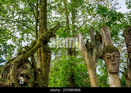 Waldlandschaft mit einigen alten Holzmasken, die verschiedene Gesichter ausdrücken, die Holzmaske eines wilden Tigers, bedeckt mit Moos und Vegetation Stockfoto