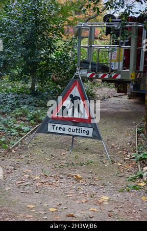 Dreieck Warnzeichen der Baumschnitt Arbeit. Stockfoto