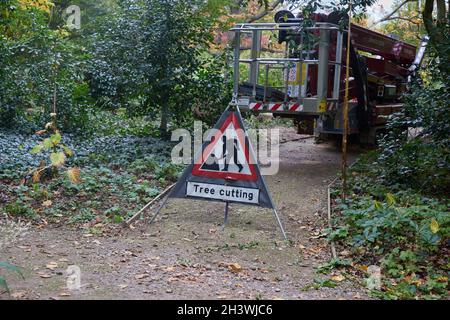 Dreieck Warnzeichen der Baumschnitt Arbeit. Stockfoto