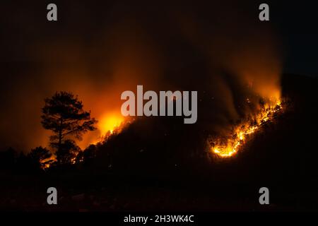 Nachtansicht eines Waldfeuers in einem steilen felsigen Gelände. Flammen, Funken und Rauch steigen in den Himmel. In den Flammen sind Silhouetten von Kiefern zu sehen Stockfoto