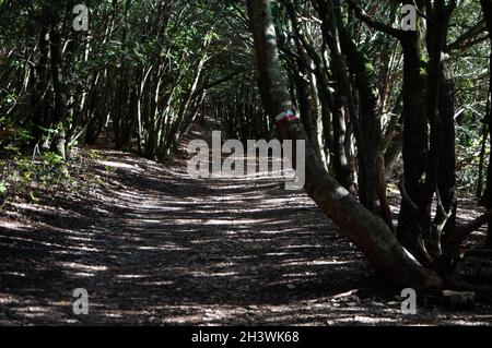 Landschaft Lago di Fiastra in der Region Marken, Provinz Macerata, Italien Stockfoto