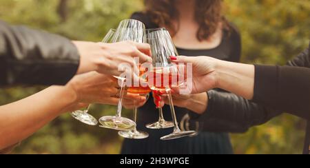 Freunde klirren Gläser mit Wein während des Picknicks Stockfoto