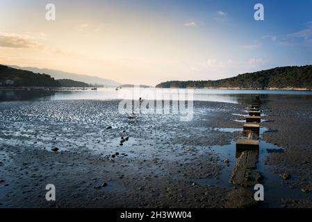 Ebbe am Strand der Palit Bucht von Eufemija auf der Insel Rab Kroatien Stockfoto