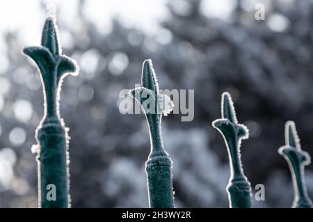 Im klassischen Design gefrorene Eisenstangen des Gartenzauens. Selektiver Fokus auf eine Eisenstange. Andere Eisenstangen sind nicht fokussiert. Stockfoto