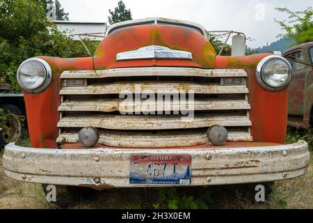 Der Kühlergrill eines Chevy-Pickups aus dem Jahr 1951 in einem Schrottplatz in Idaho, USA Stockfoto