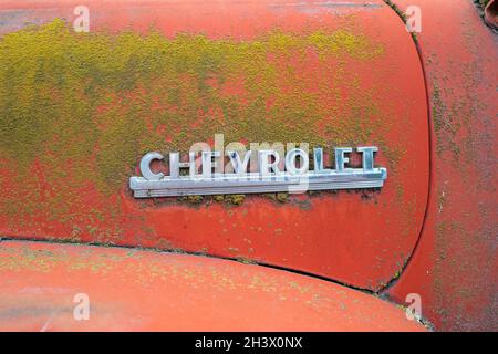 Chrom-Namensschild auf der Seite eines 1951 Chevy Pickup-LKW in einem Schrottplatz in Idaho, USA Stockfoto