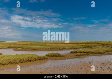 Ebbe im Pagham Harbour Nature Reserve in der Nähe von Chichester, West Sussex, Großbritannien Stockfoto