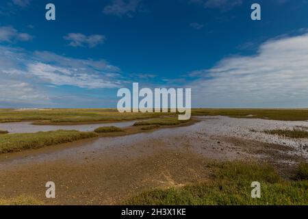 Ebbe im Pagham Harbour Nature Reserve in der Nähe von Chichester, West Sussex, Großbritannien Stockfoto