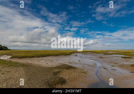 Ebbe im Pagham Harbour Nature Reserve in der Nähe von Chichester, West Sussex, Großbritannien Stockfoto