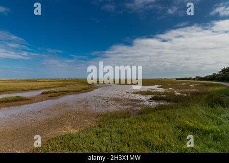 Ebbe im Pagham Harbour Nature Reserve in der Nähe von Chichester, West Sussex, Großbritannien Stockfoto